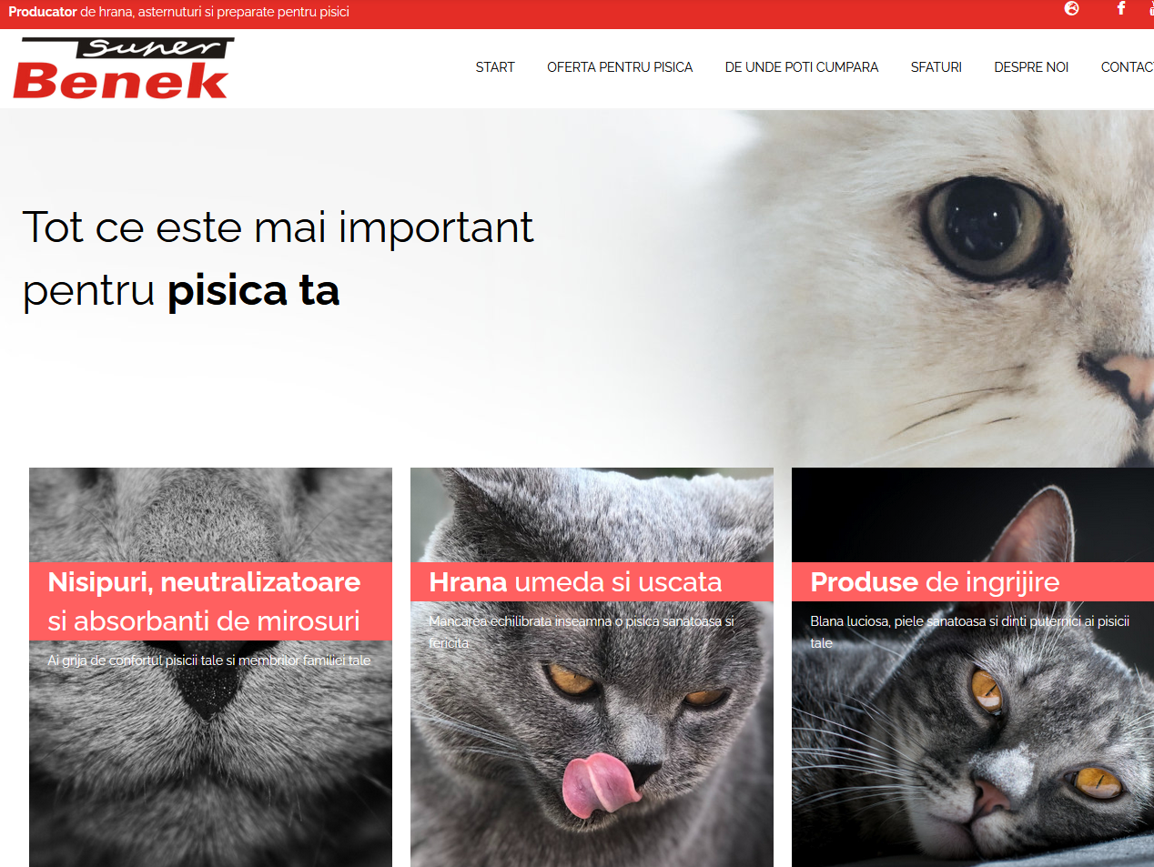 Wdrażanie tłumaczeń – producent karmy oraz żwirków dla kotów