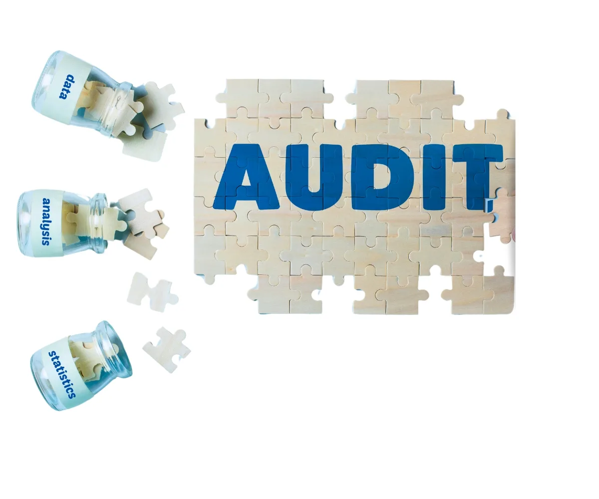 Audyt w Social Mediach